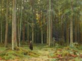 forest of countess mordvinova